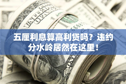 武汉五厘利息算高利贷吗？违约分水岭居然在这里！