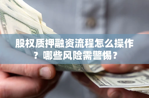 武汉股权质押融资流程怎么操作？哪些风险需警惕？