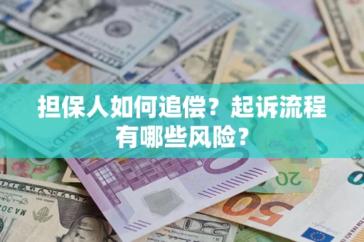 武汉担保人如何追偿？起诉流程有哪些风险？