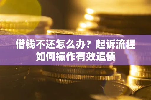武汉借钱不还怎么办？起诉流程如何操作有效追债