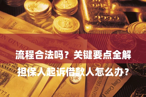 武汉

担保人起诉借款人怎么办？流程合法吗？关键要点全解析