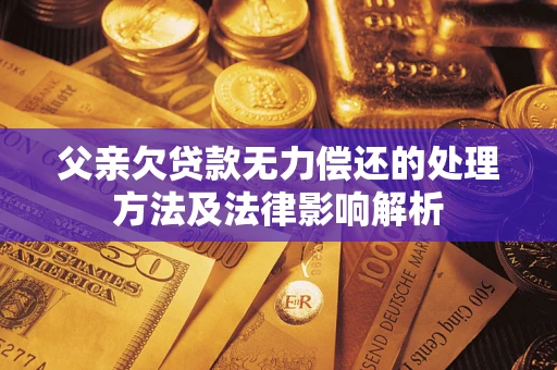 武汉父亲欠贷款无力偿还的处理方法及法律影响解析
