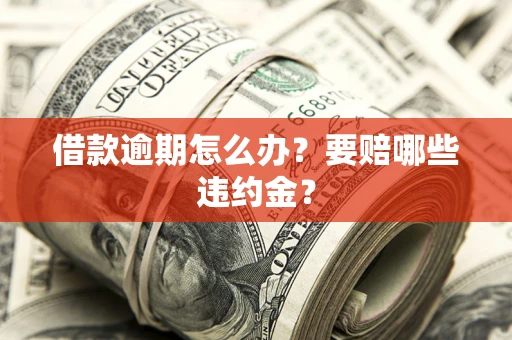 武汉借款逾期怎么办？要赔哪些违约金？